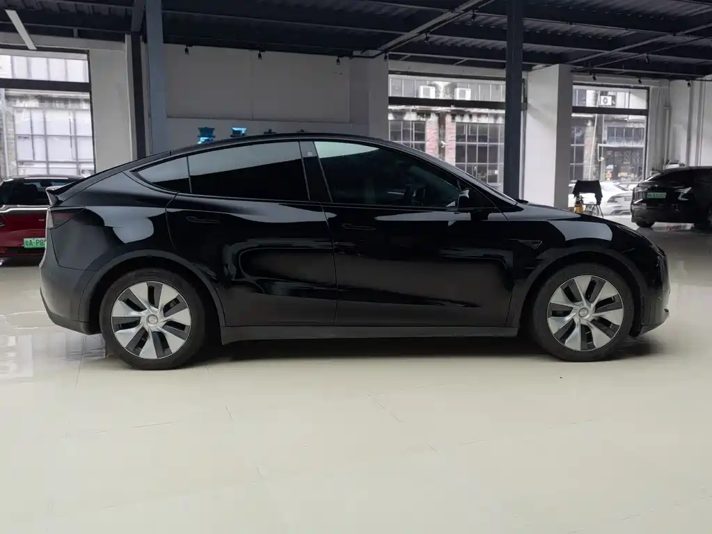 Tesla Model Y — миниатюра 4