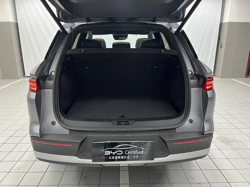 BYD SONGJIANG NEW ENERGY