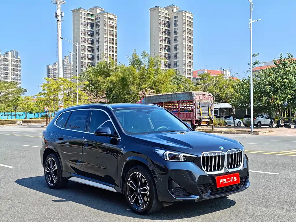 BMW X1 — миниатюра 2