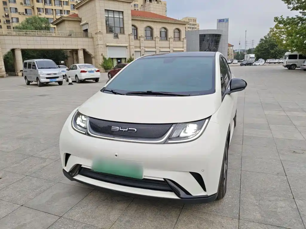BYD Dolphin — миниатюра 2