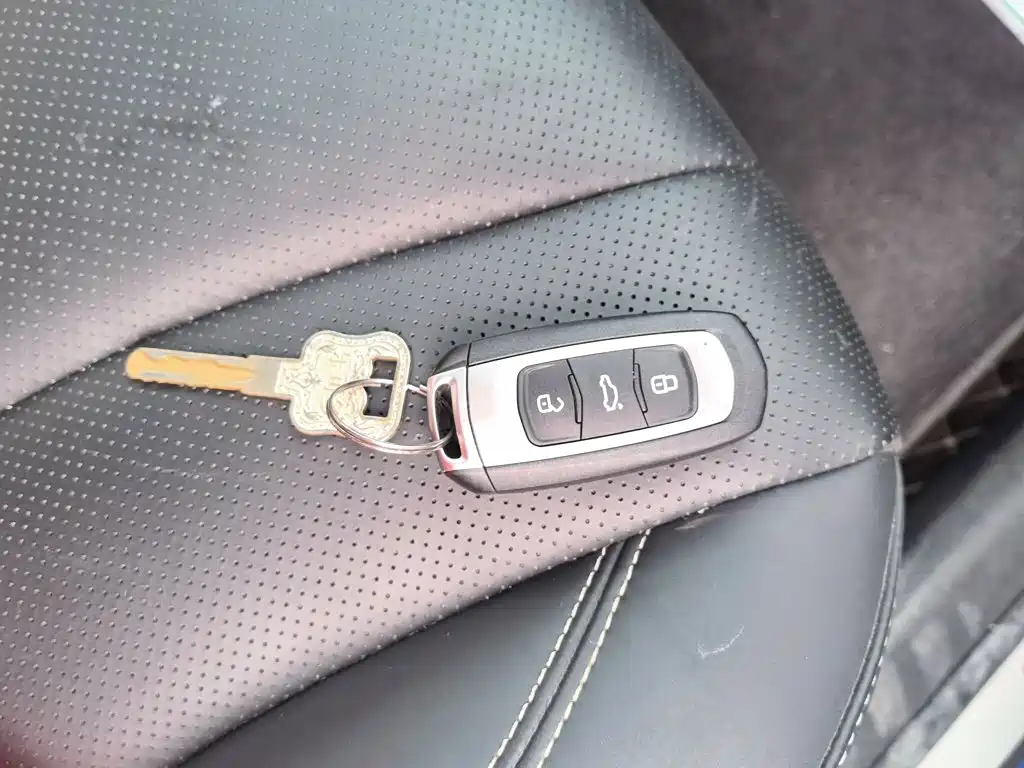 Geely Borui Hybrid — миниатюра 12