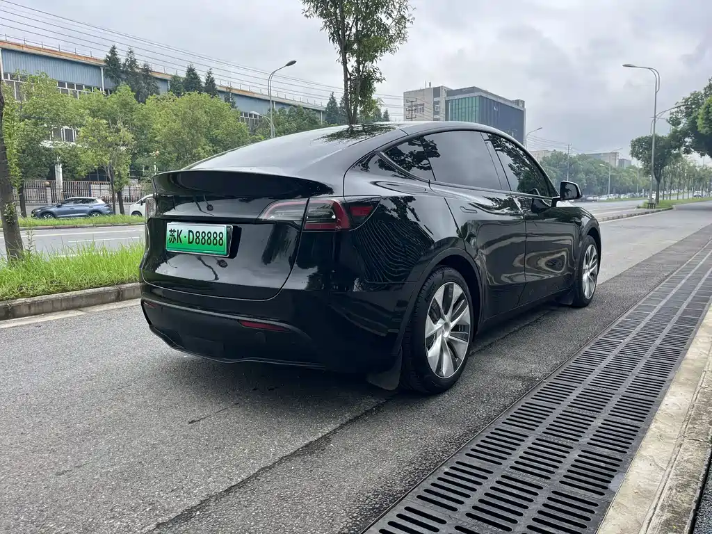 Tesla Model Y — миниатюра 9
