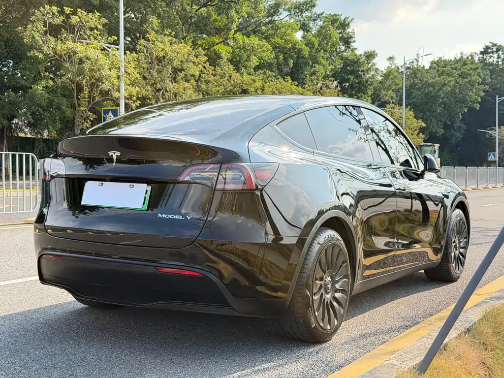Tesla Model Y — миниатюра 14