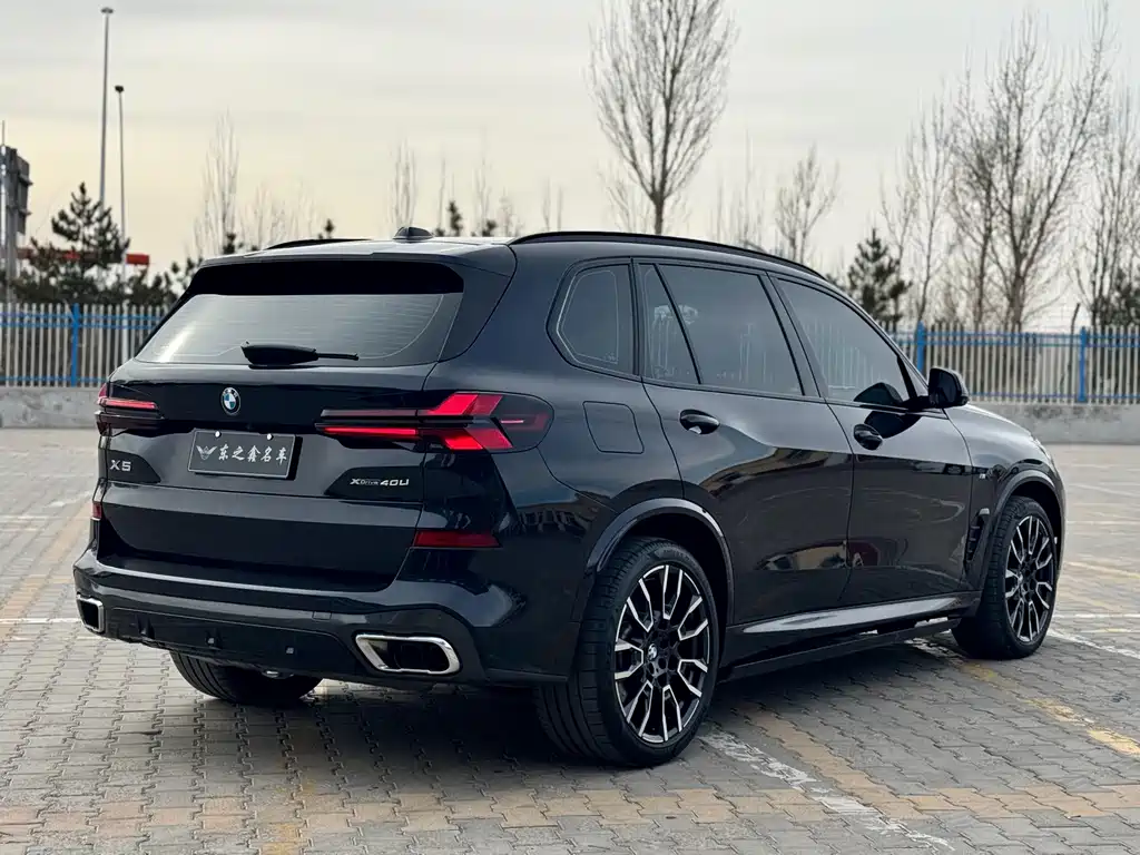 BMW X5 — миниатюра 5