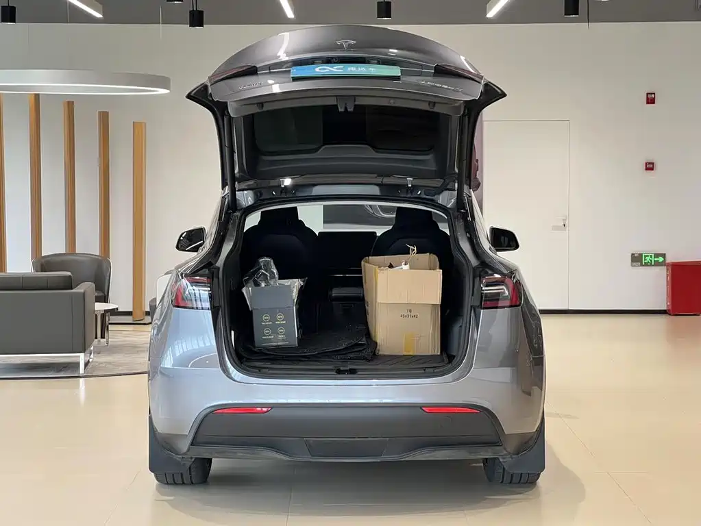 Tesla Model Y — миниатюра 16