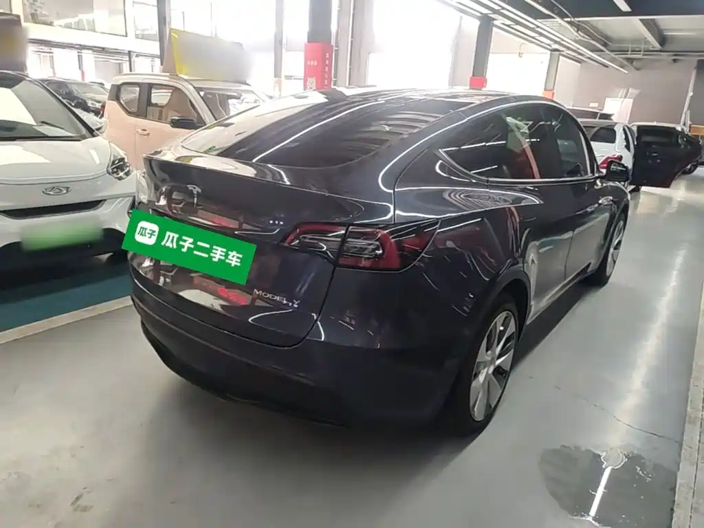 Tesla Model Y — миниатюра 7