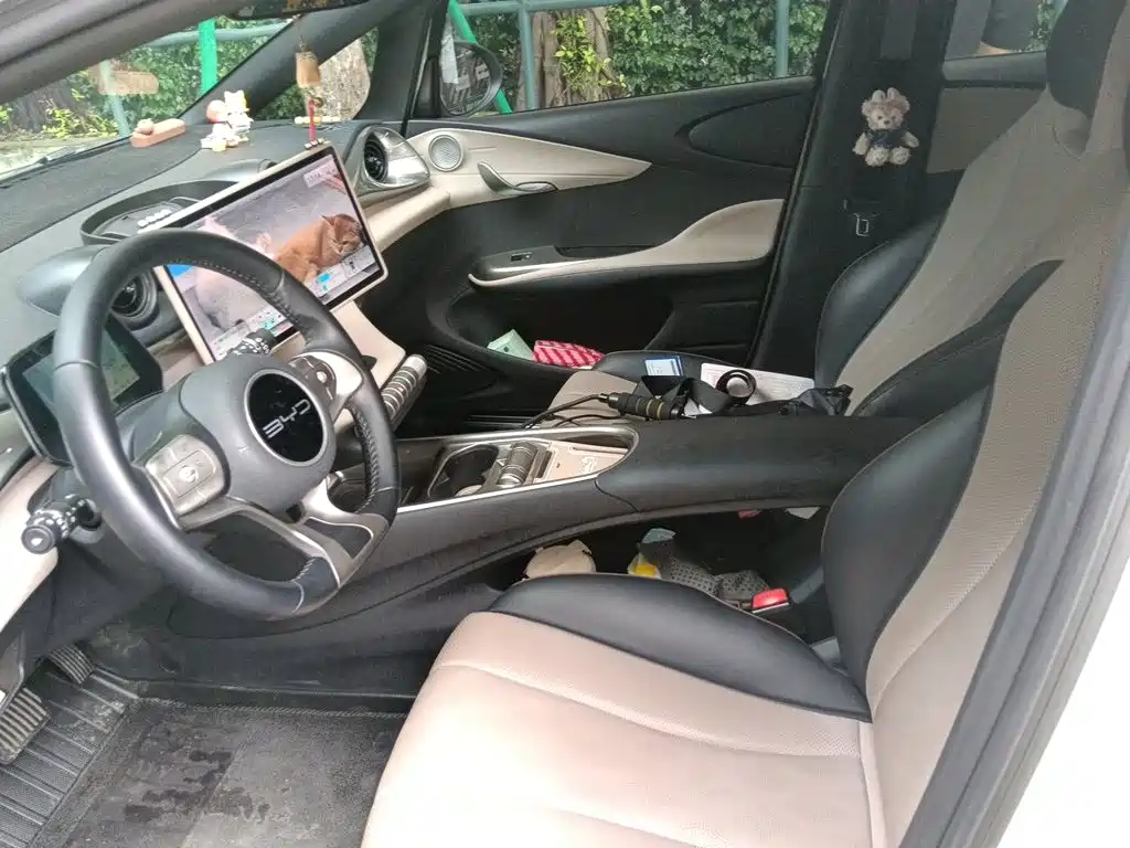BYD Dolphin — миниатюра 16