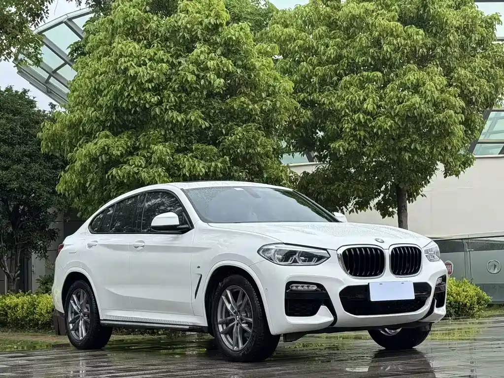 BMW X4 2019 xDrive25i M Sport