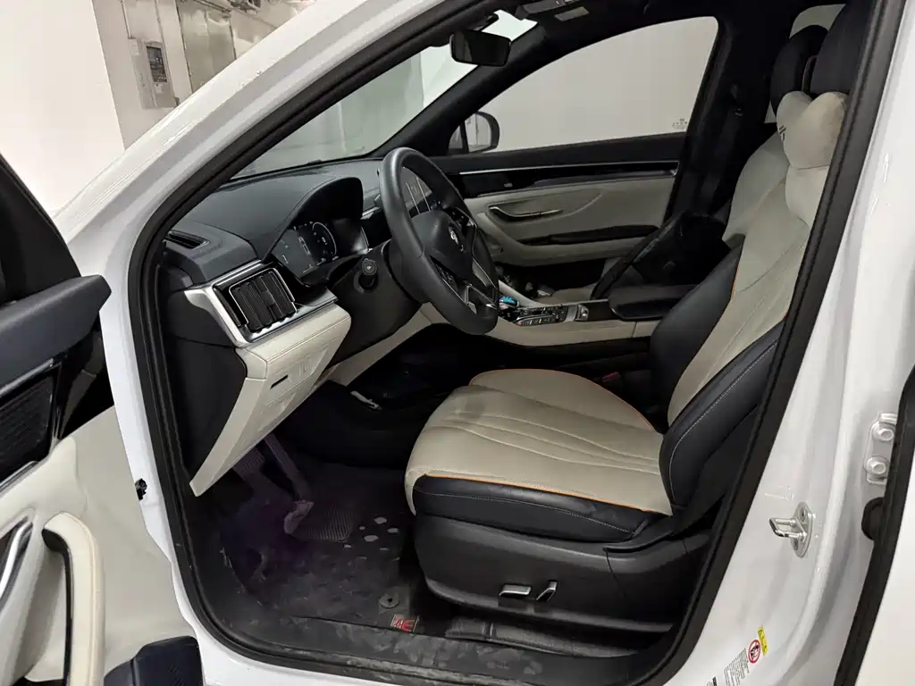 BYD SONGJIANG NEW ENERGY