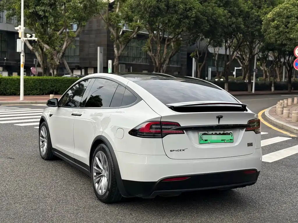 Tesla Model X — миниатюра 9