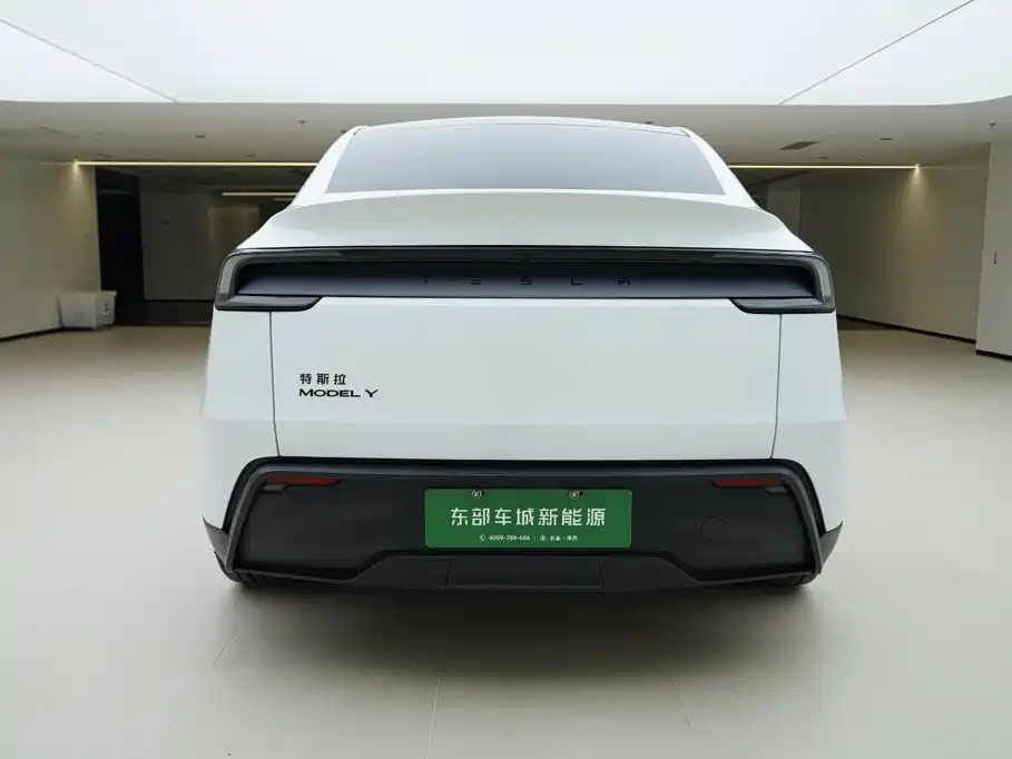 Tesla Model Y — миниатюра 5