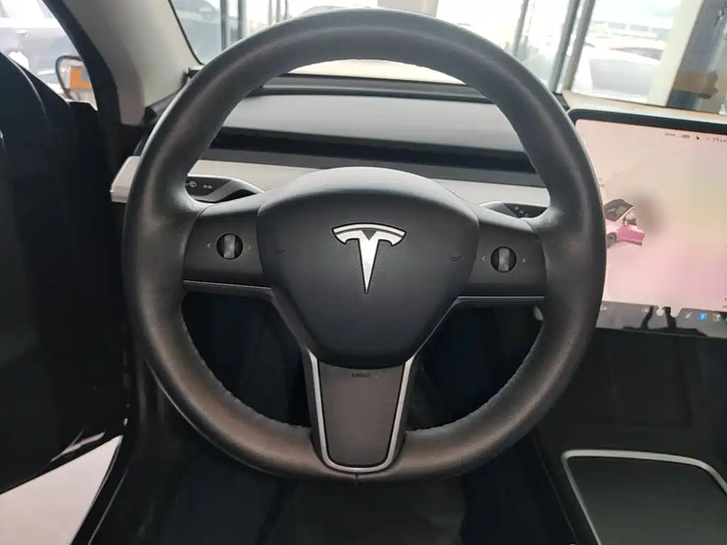 Tesla Model Y — миниатюра 11
