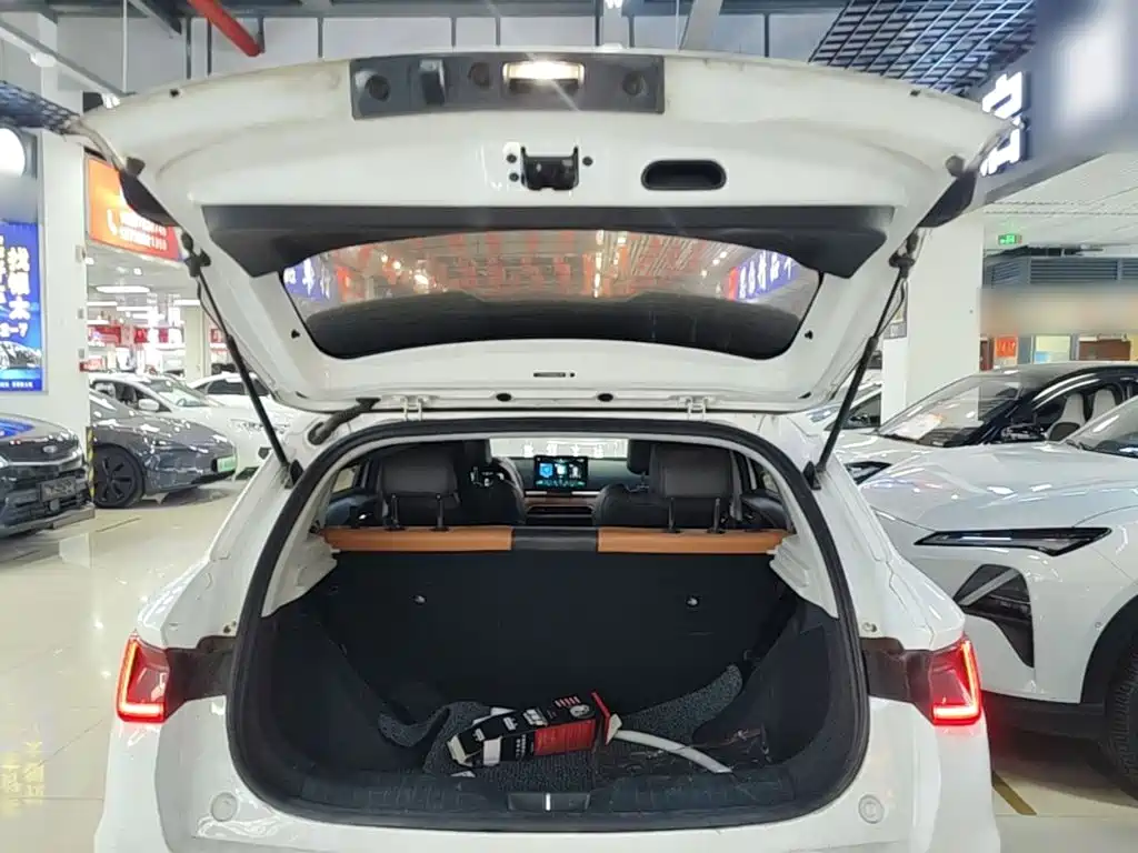 BYD e2 — миниатюра 19