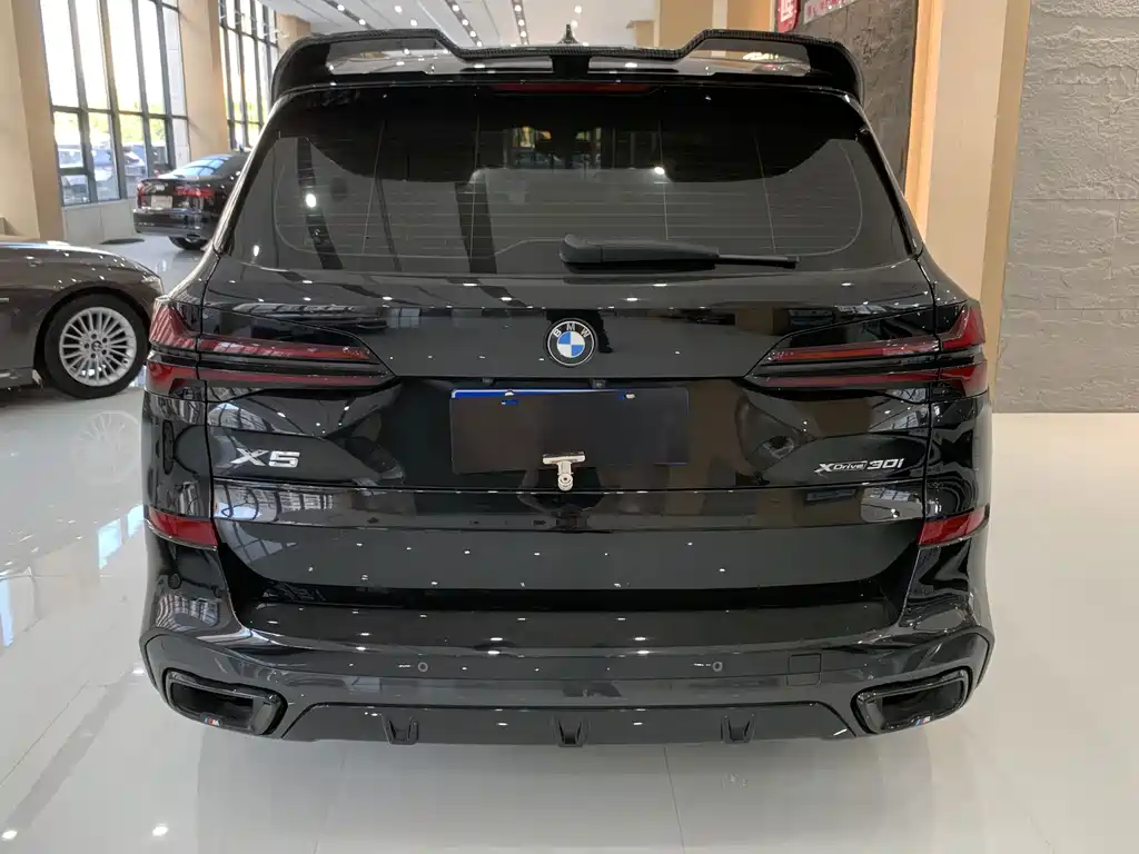 BMW X5 (Import) — миниатюра 13