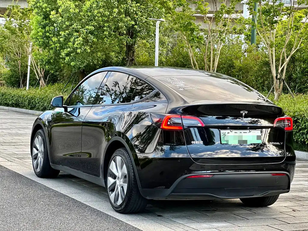 Tesla Model Y — миниатюра 4
