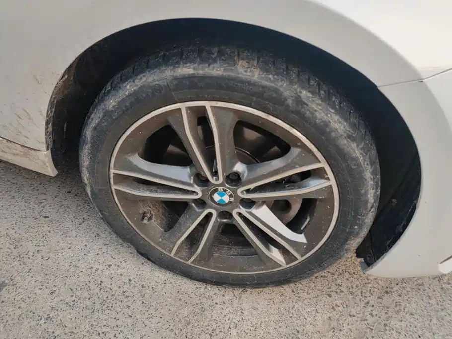 BMW 1 Series — миниатюра 6