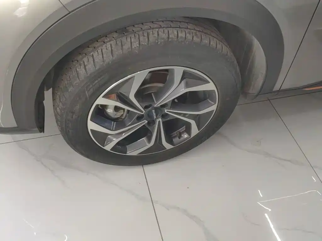 Haval Shenshou — миниатюра 23