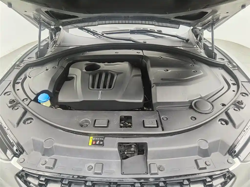 WEI PAI WEI BRAND VV7