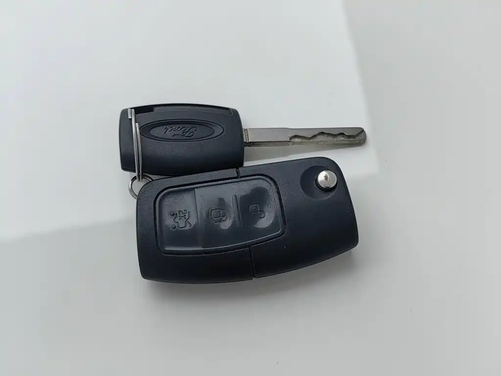 Ford Focus — миниатюра 19