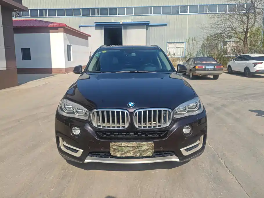 BMW X5 (Import) — миниатюра 2