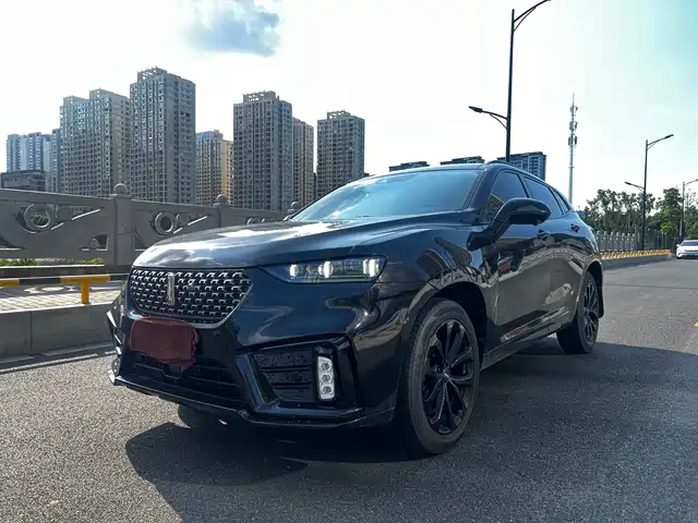 WEI PAI WEI BRAND VV7 2019