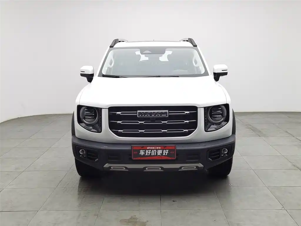 HAVAL BIG DOG