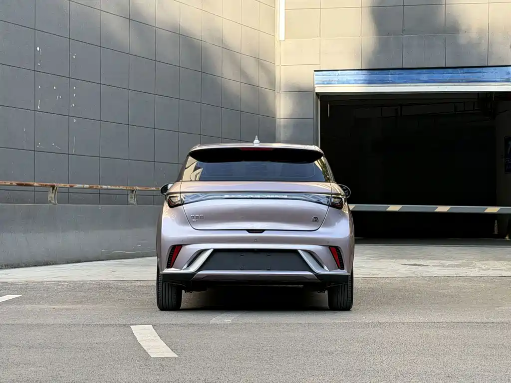 BYD Dolphin — миниатюра 7