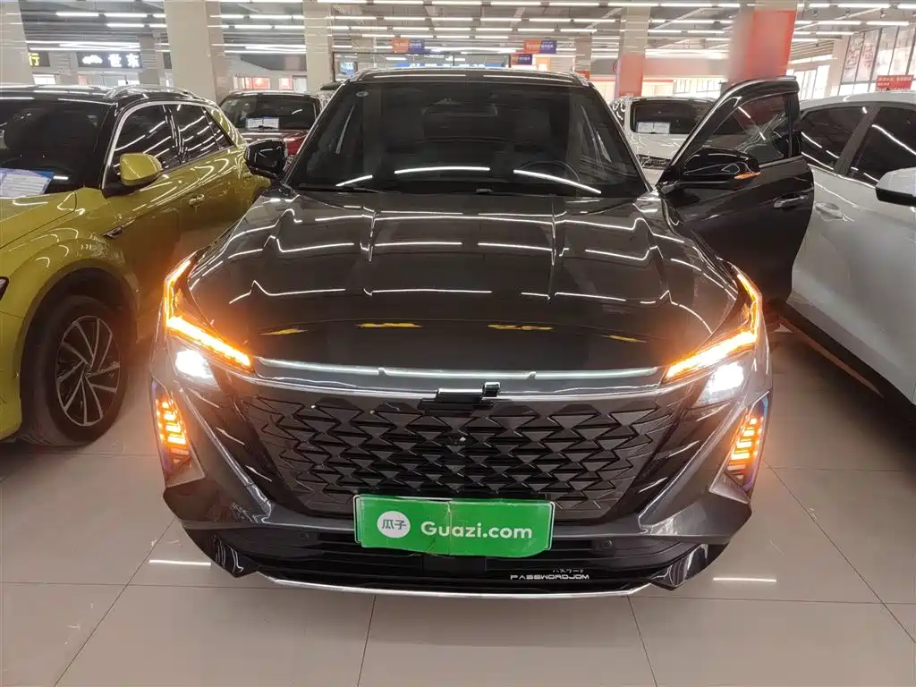 Oshan Oushang Z6 New Energy — миниатюра 19