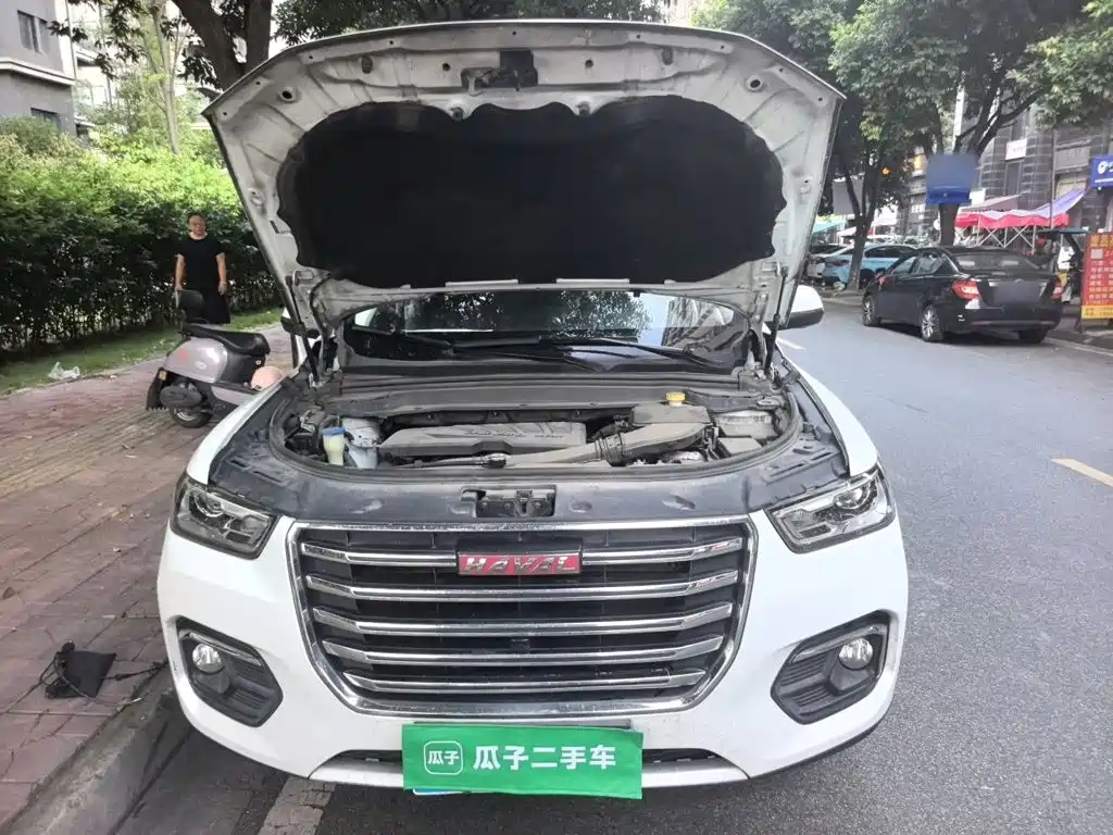 Haval H4 — миниатюра 21