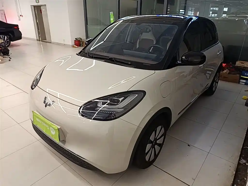 Wuling Bingo 2024