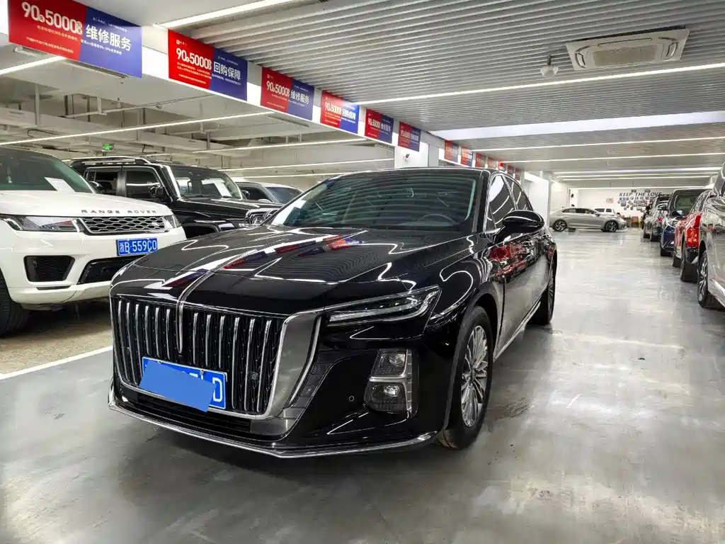 Hongqi Hongqi H5 2024