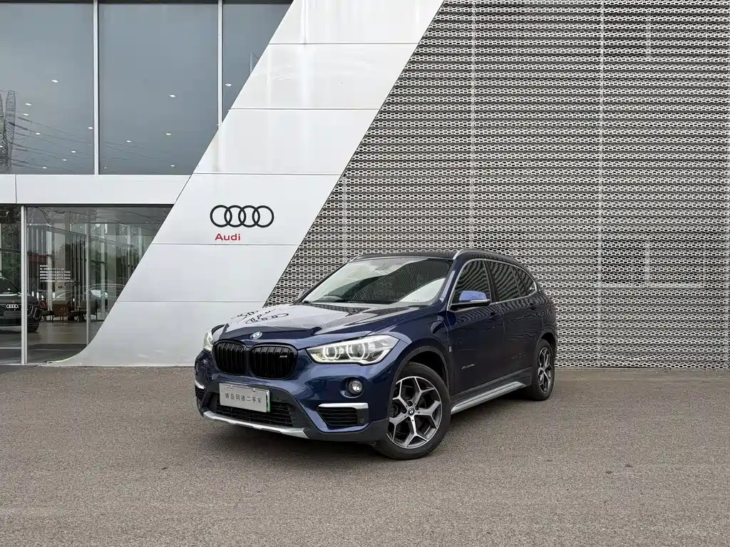 BMW X1 New Energy