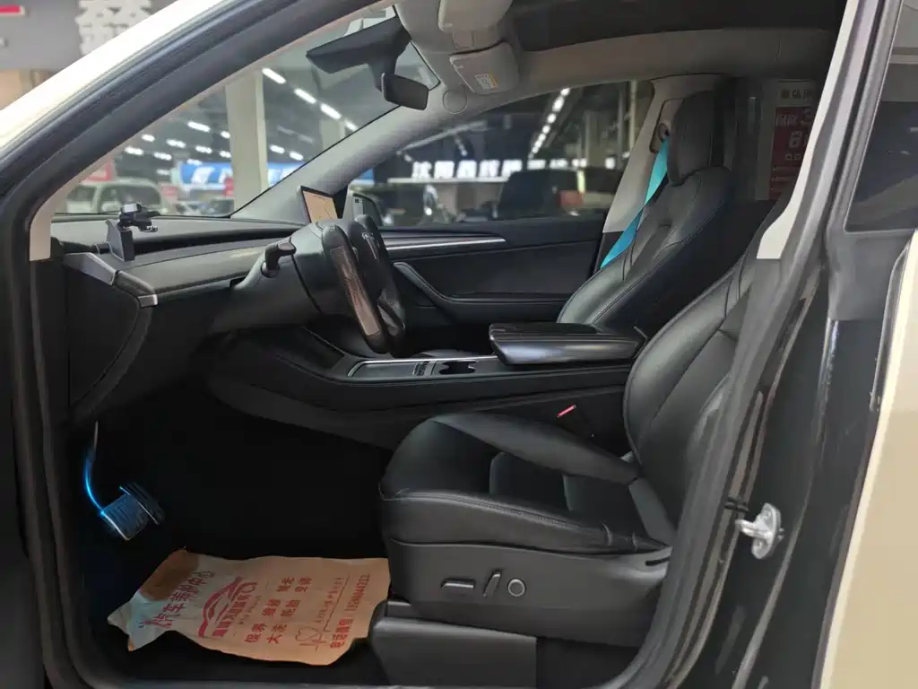 Tesla Model Y — миниатюра 4