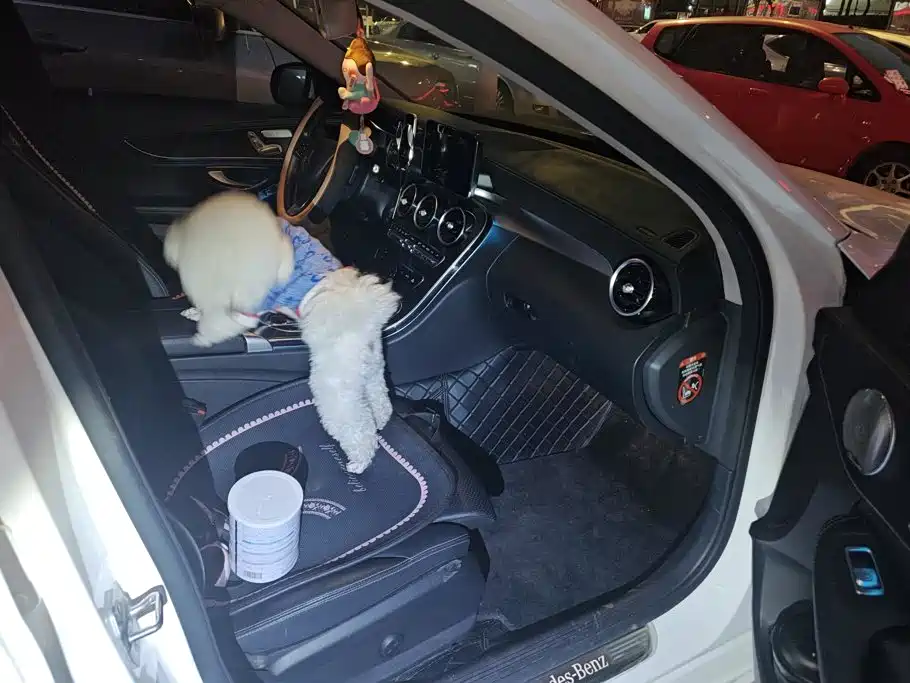 Mercedes-Benz C-Class — миниатюра 7