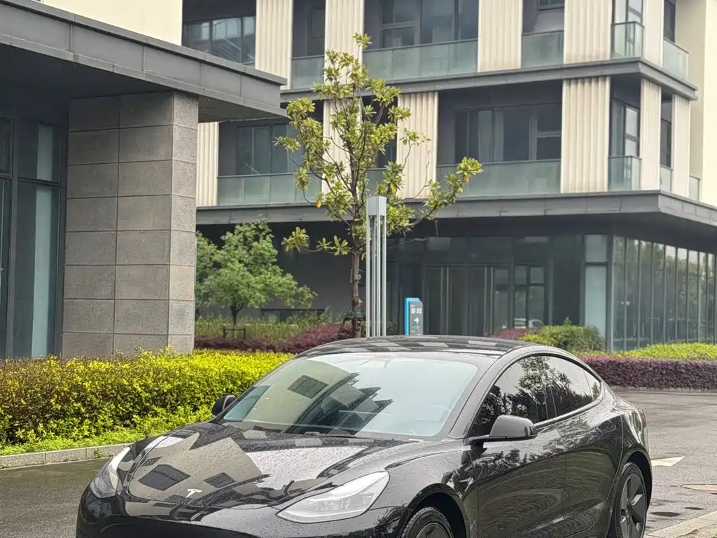 Tesla Model 3 2021