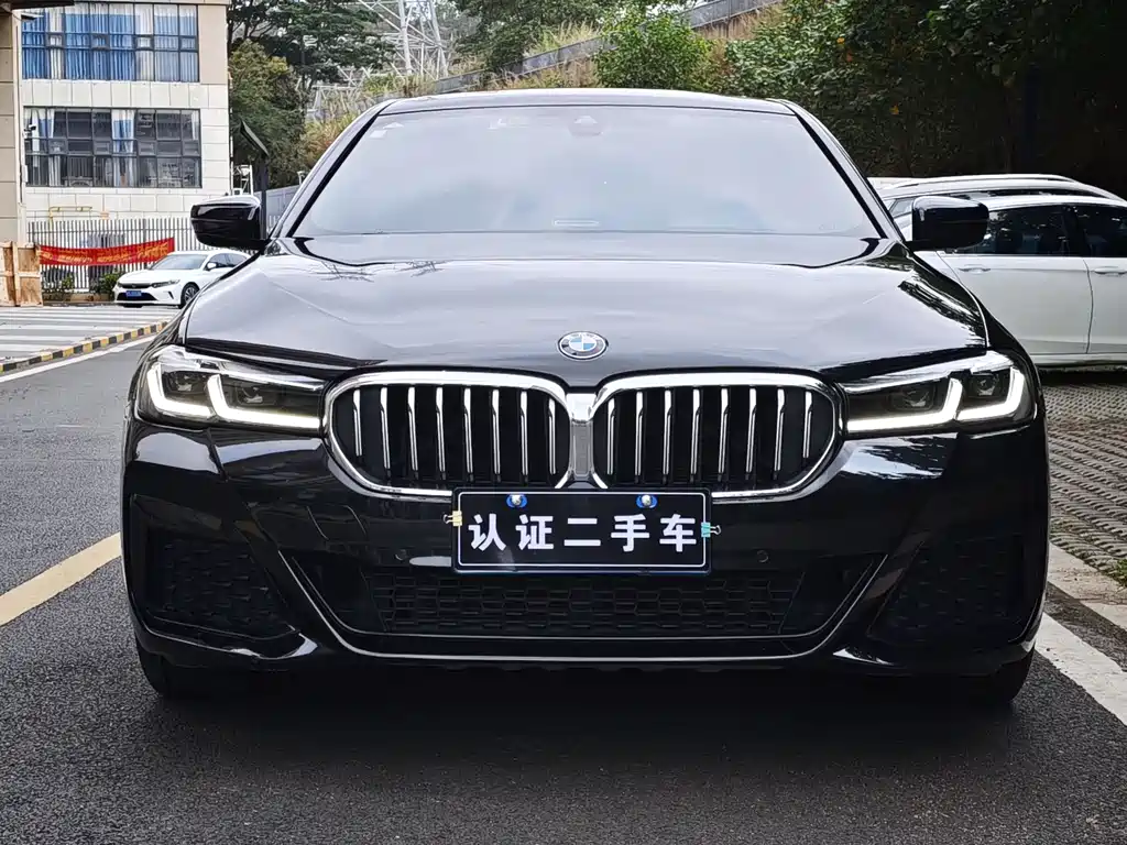 BMW 5 Series 5 2021 530Li Lead Luxury