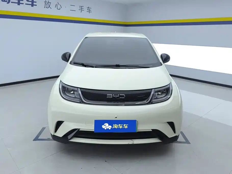BYD Dolphin — миниатюра 2