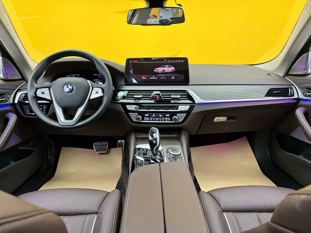 BMW 5 Series 5 2022 530Li Premium Luxury