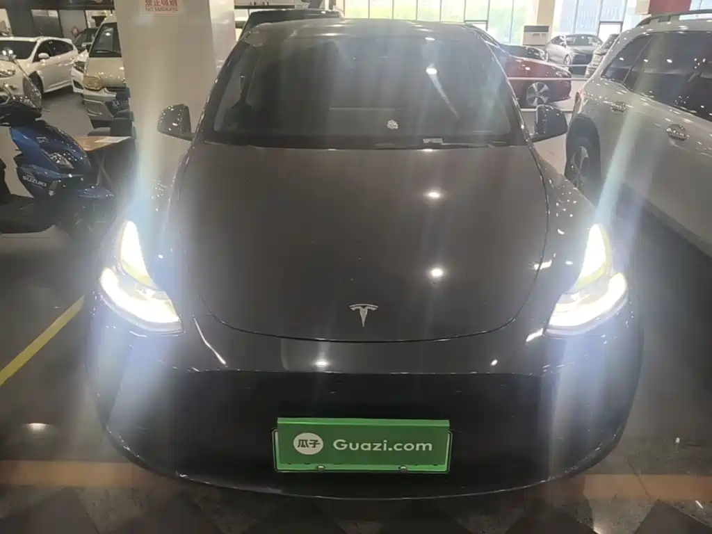 Tesla Model Y — миниатюра 3