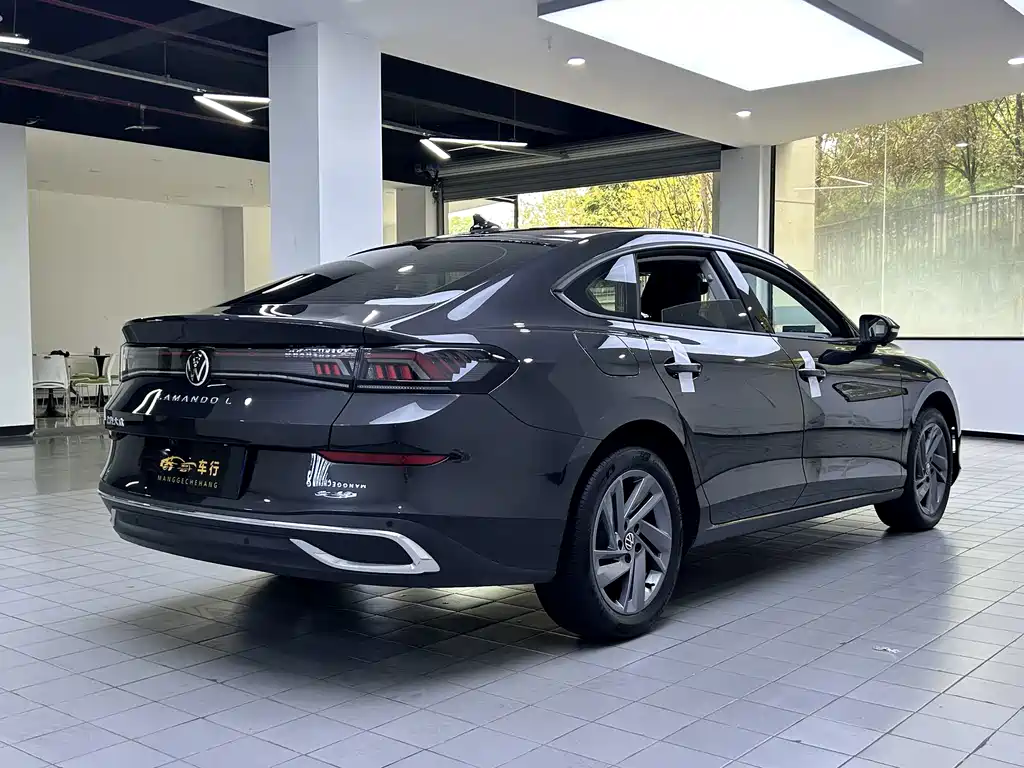 Volkswagen Lamando — миниатюра 9