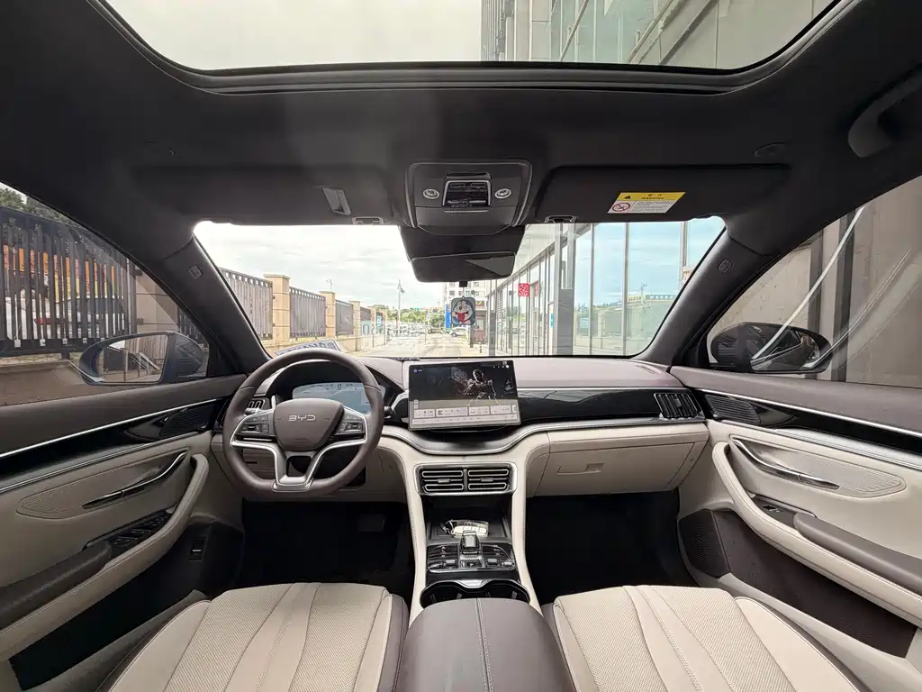 BYD PLUS New Energy — миниатюра 7