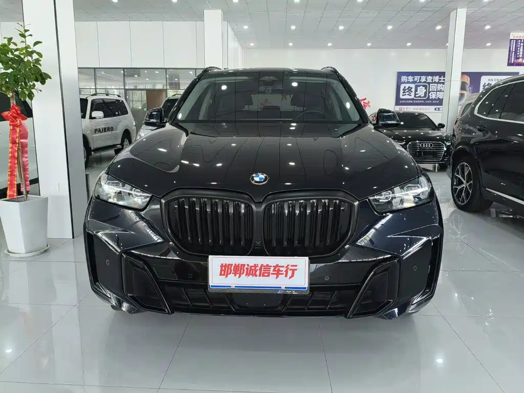BMW X5 — миниатюра 2