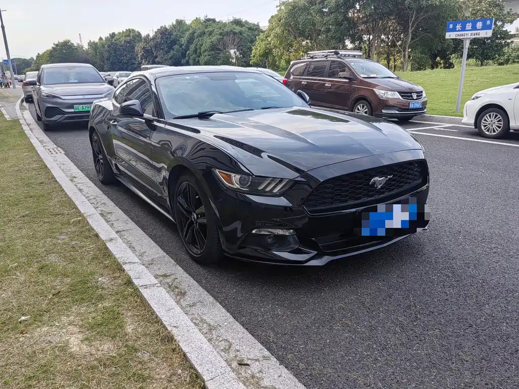 Ford Mustang — миниатюра 3