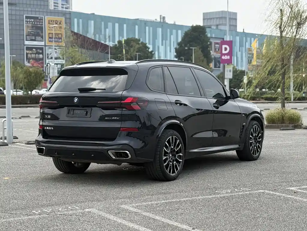 BMW X5 — миниатюра 6