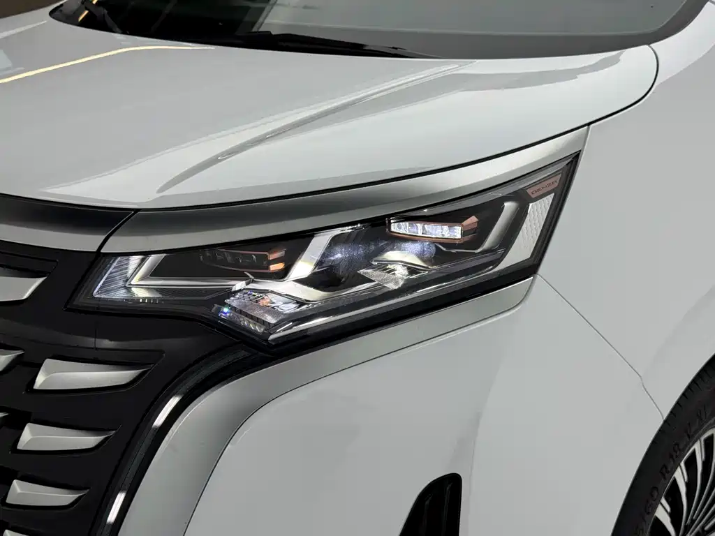 Denza Denza D9 — миниатюра 5