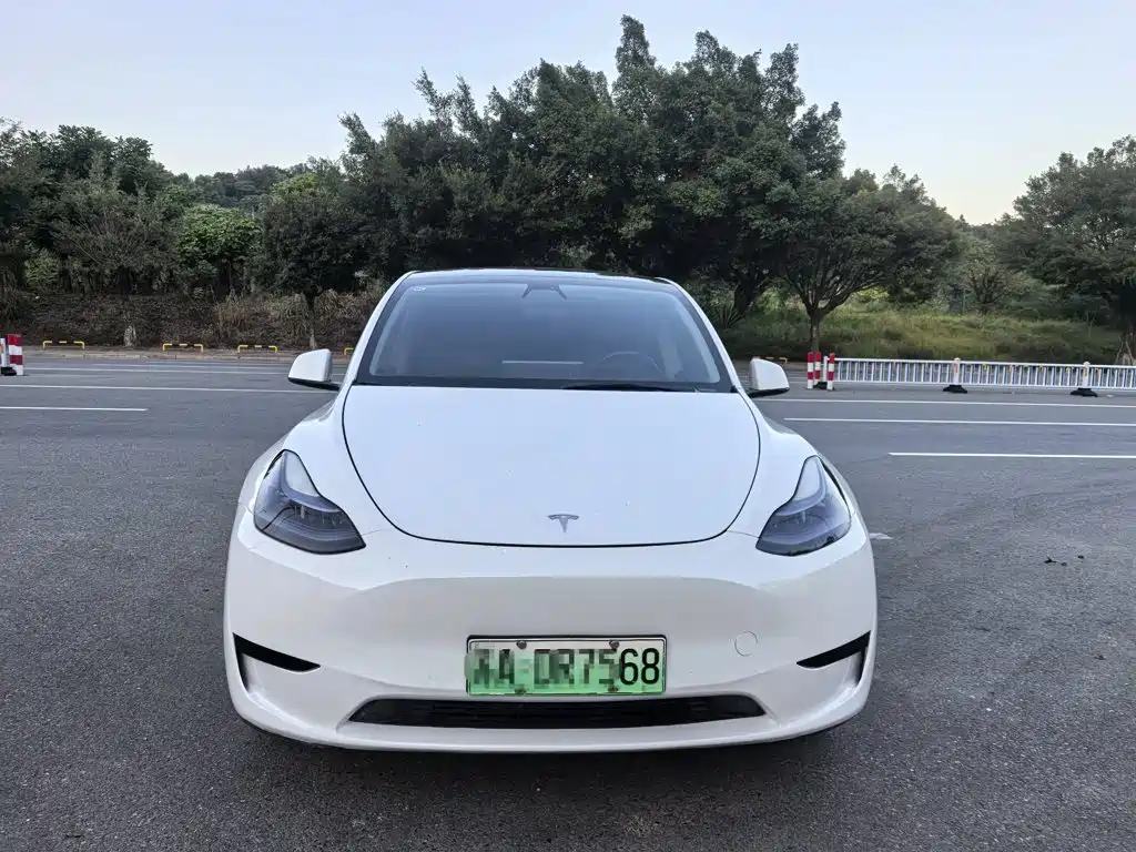 Tesla Model Y — миниатюра 2