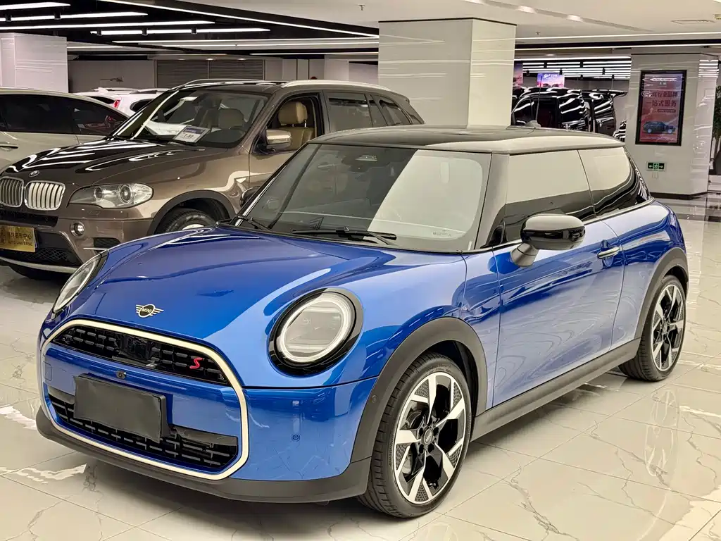 Mini Mini 2025