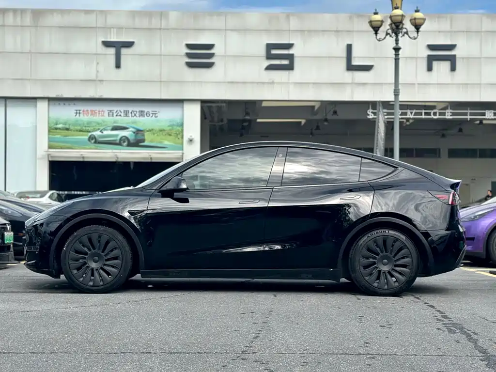 Tesla Model Y — миниатюра 3