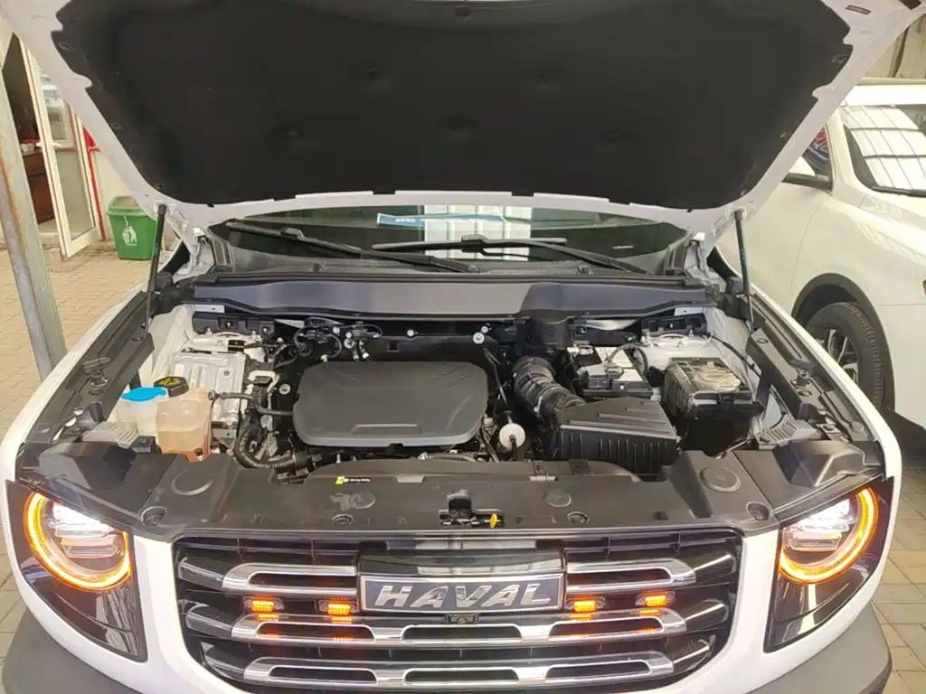 Haval Big Dog — миниатюра 20