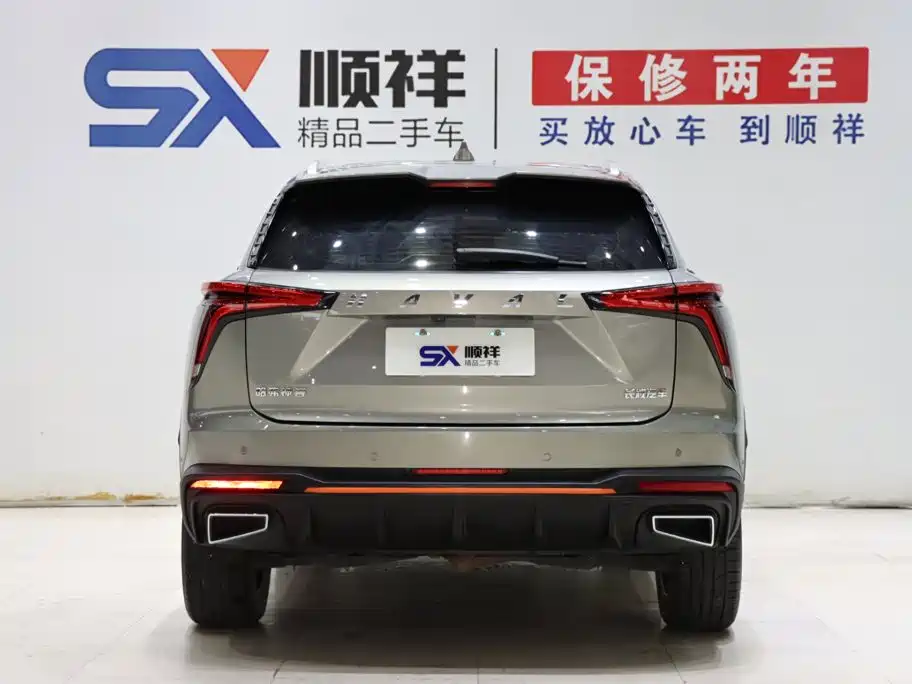 Haval Shenshou — миниатюра 6